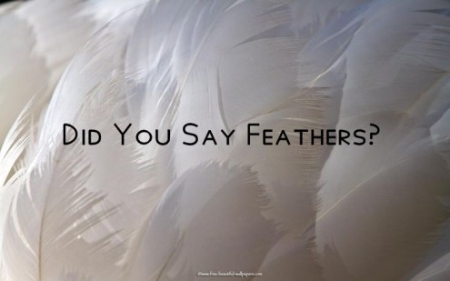 CoverYouWithHisFeathers