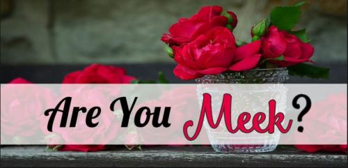 Meekness