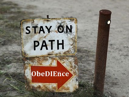 Obedience3