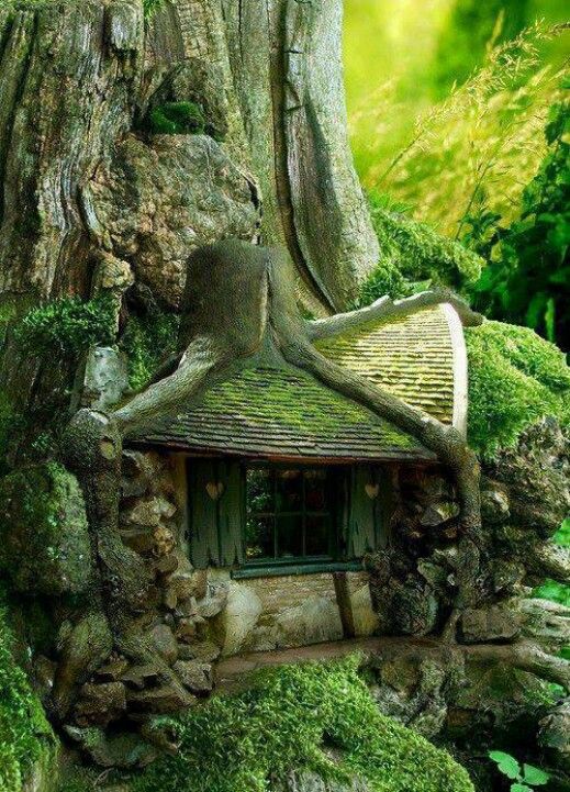 The Secret Place–Hidden in Plain Sight – Psalm 91:1a Revised | Hear God ...
