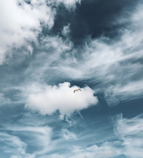 Noonday -rita-vicari-xVtJhV8V2zg-unsplash-final